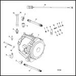 Transmission (Driveline)