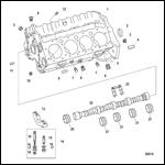 Cylinder Block And Camshaft