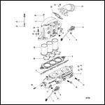 Exhaust Manifold And Elbow