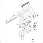 Cylinder Block Camshaft and Crankshaft